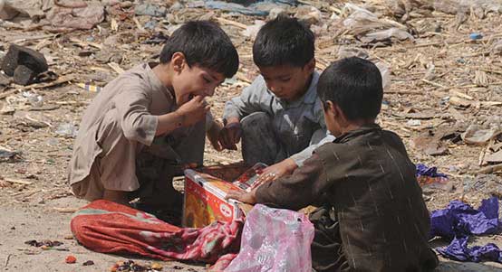 网站攻击软件工具